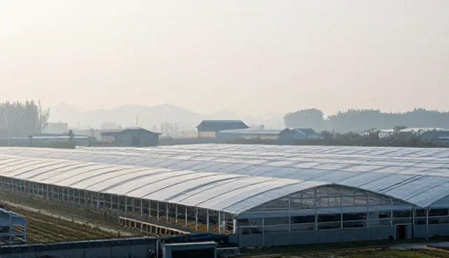 设计维护策略：使用与维护的两种做法对比